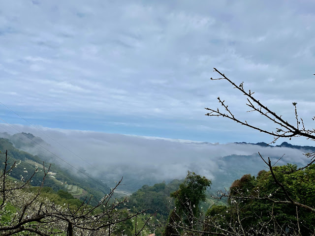 下山沿途展望