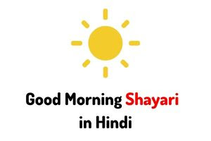 270+ Best Good Morning Shayari In Hindi 2023