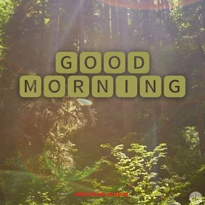 Good-Morning-Nature-Images-Free-Download