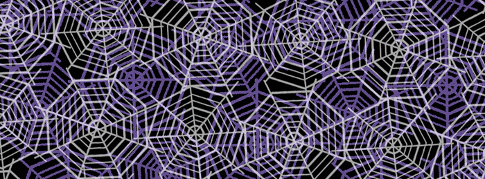 Spider Webs Cover Photo