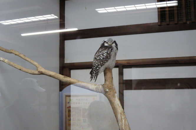 掛川花鳥園