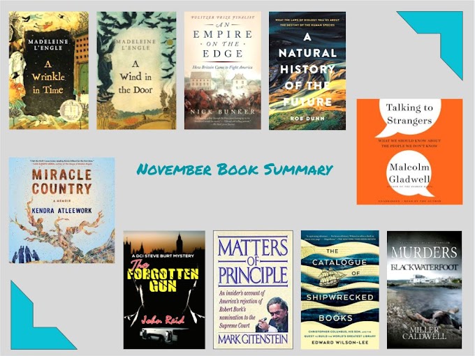 November Book Review Summary