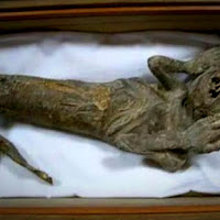 Saintis cuba rungkai misteri mumia ikan duyung berusia 300 tahun