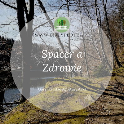 Spacer a zdrowie - agroturystyka Góry Izerskie