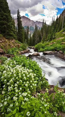 Papel de Parede 4k Montanha, Natureza, Riacho, Floresta