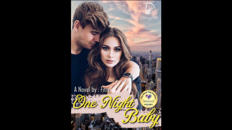 Novel One Night Baby