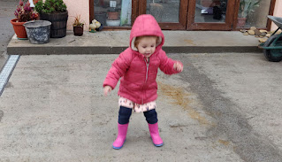 Rosie jumping in a puddle