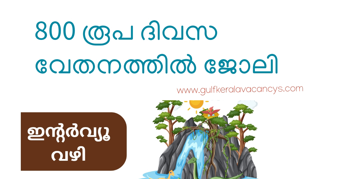 വനഗവേഷണ സ്ഥാപനത്തിലും ആയുഷ് മിഷനിലും ഉൾപ്പെടെ അവസരങ്ങൾ