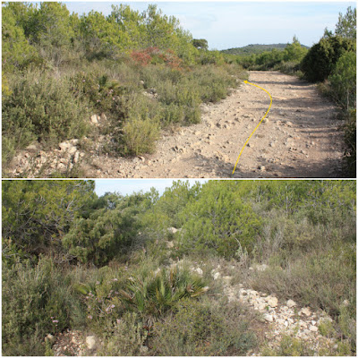 BONASTRE-LA MOLA-BOSC DE L'OBAGA DEL MAIÀ-MUNTANYES DEL TET-MASIA D'ESCANSA, Ruta Bonastrec i Camí d'Albinyana a Masarbonès