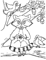 Raccoon with birds on the tree coloring page