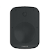 Loa Treo Tường Philips CSS3868