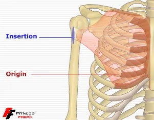 Small Range Of Motion