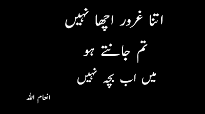 Best attitude poetry in Urdu 2 lines text