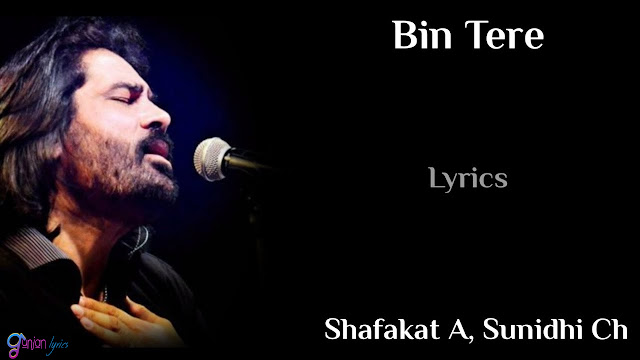 BIN TERE LYRICS -Shafqat Amanat Ali  Lyrics