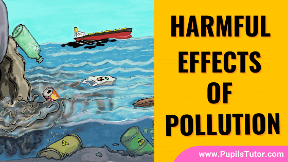 What Is Pollution And Its Harmful Effects? | Explain In Points Major Negative Effects Of Pollution On Human Health, Animals, Plants, Environment, Land - www.pupilstutor.com