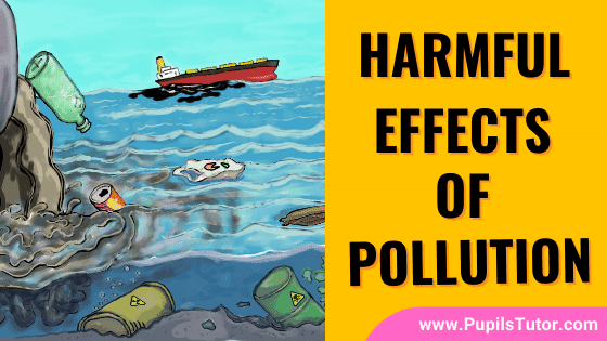 water pollution effects on animals and plants