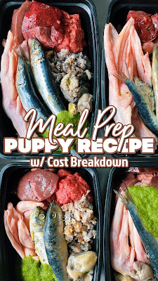 30 second Reel/tiktok meal prep video for raw fed puppy; how much does it cost to feed raw