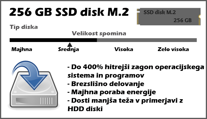 DISK SSD 256 gb m2