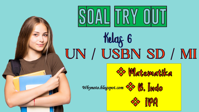 Soal Try Out UN/USBN SD/MI kelas 6