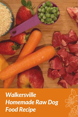 Walkerville Homemade Raw Dog Food Recipe