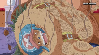 ワンピースアニメ WCI編 821話 チョッパー 人型 | ONE PIECE ホールケーキアイランド編