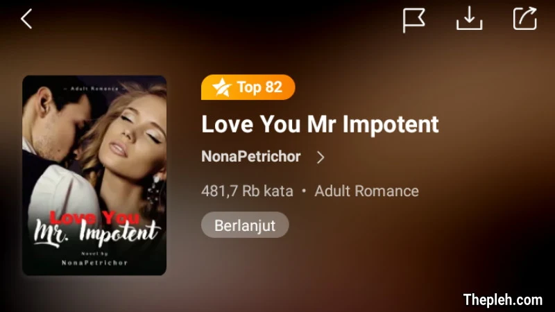 Novel Love You Mr Impotent