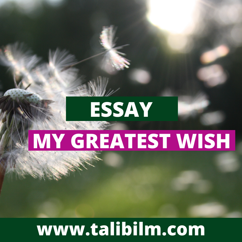 my greatest wish essay