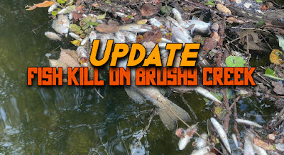 Brushy Creek, Brushy Creek Fish Kill, Brushy Creek Cedar Park, Brush Creek Texas, Texas Fly Fishing, Fly Fishing Texas