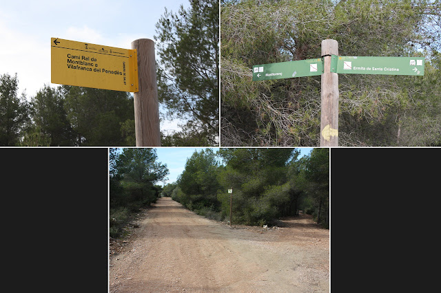 CIMS I COTES DEL BAIX PENEDÈS - MASLLORENÇ, carrerada de Vilafranca del Penedès a Montblanc o Camí Ral