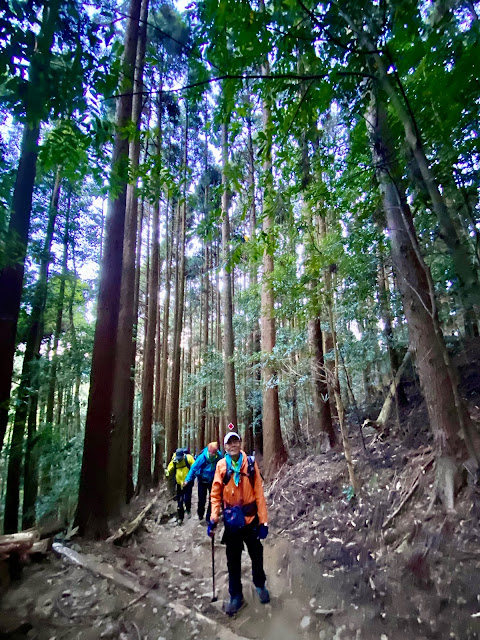 往加里山