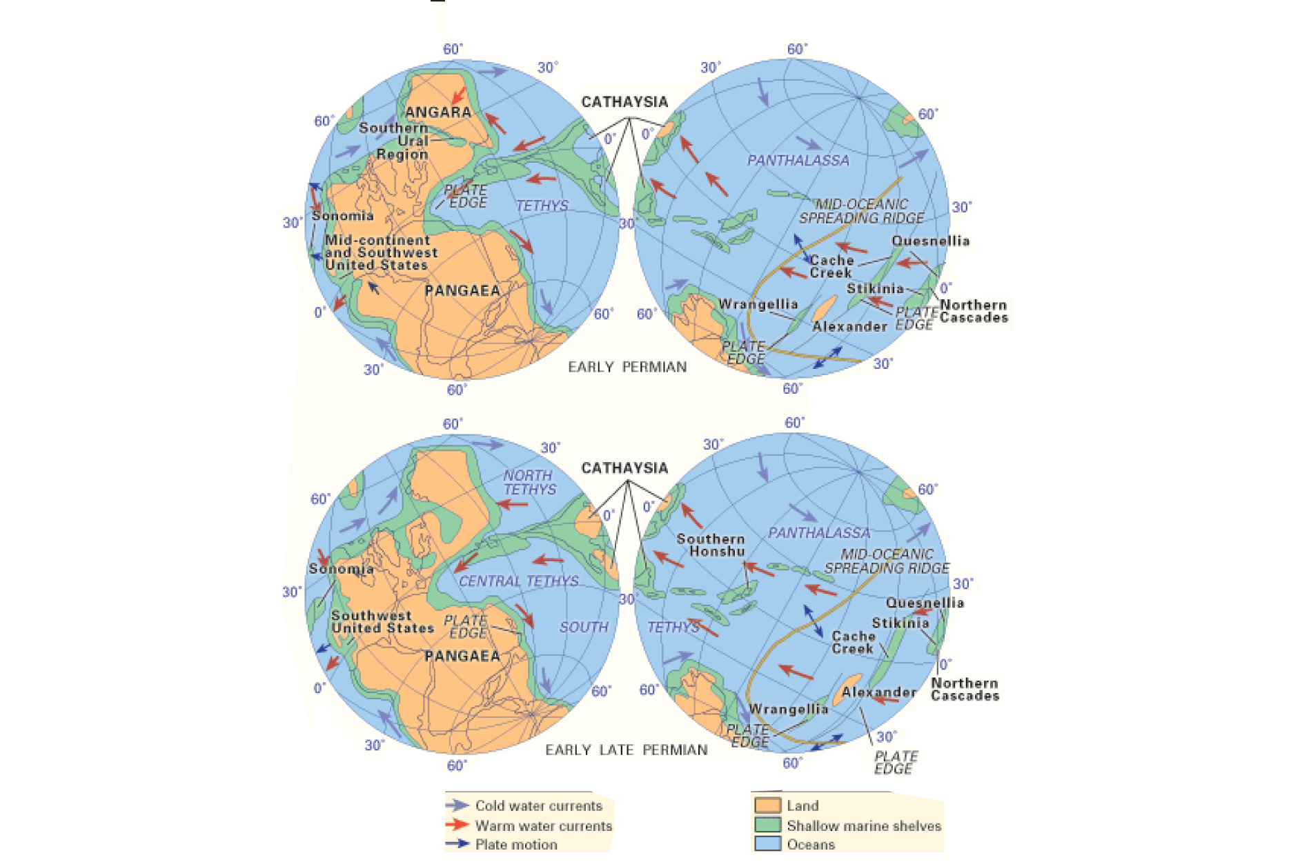 paleogeography and plaeoceanography