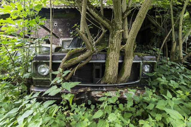 A beleza única dos lugares abandonados