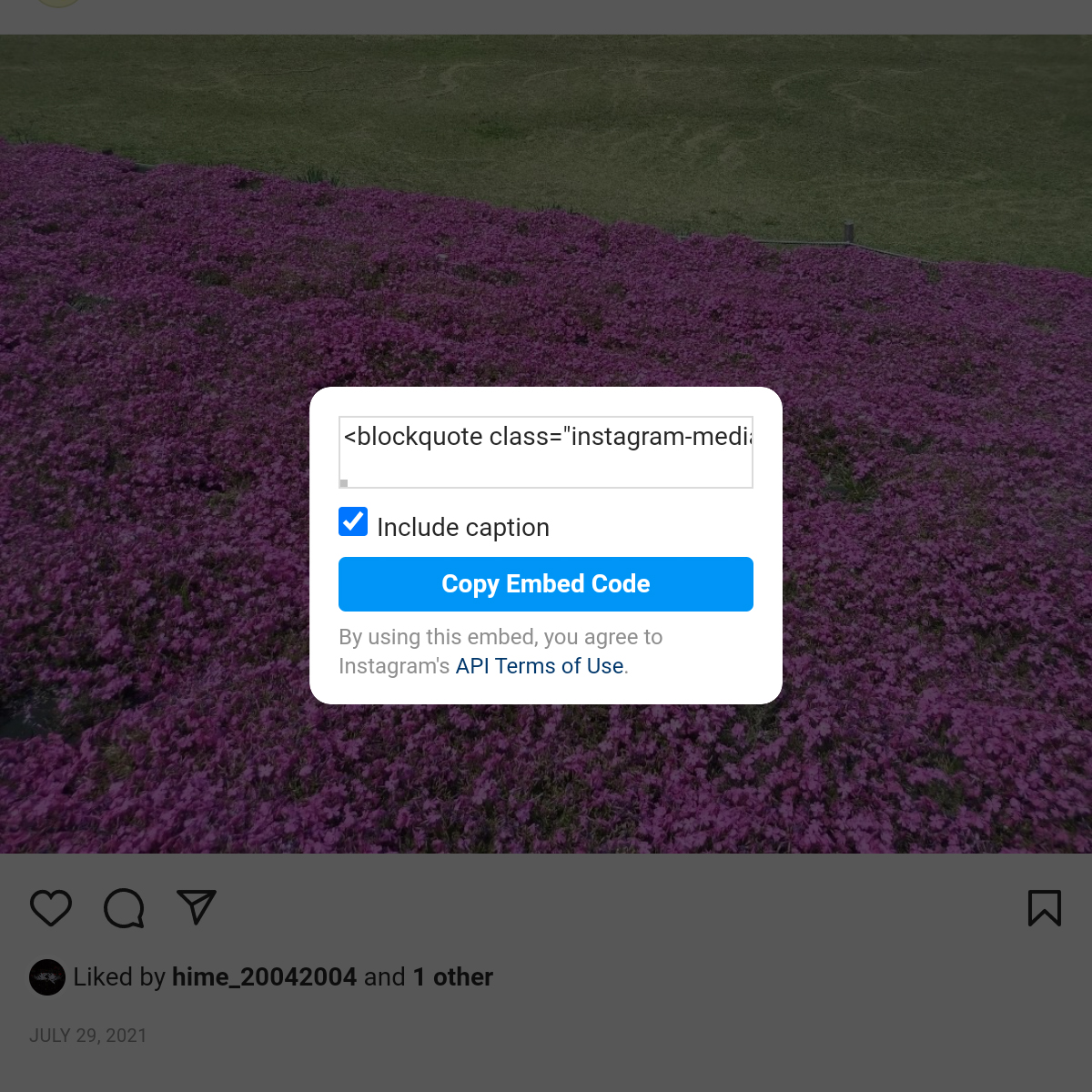 Instagramの埋め込みコードを取得できる状態