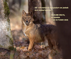 7-10 OCT 2026 The fourth International Symposium dedicated to Jackals and related species