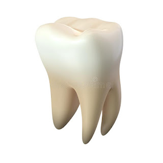 Molar