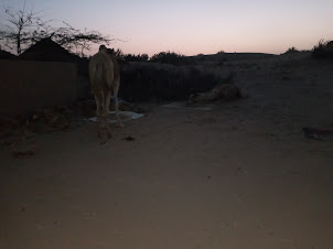 Dusk at Sam Sand Dunes in Jaisalmer