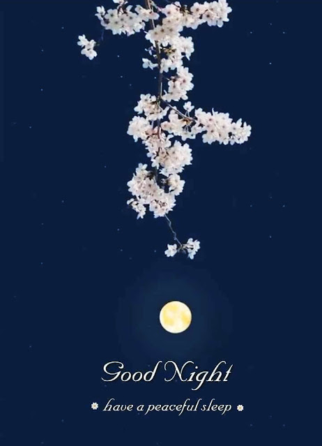 Good Night Images in English for Whatsapp