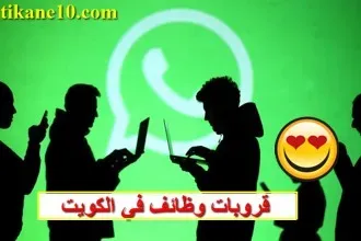 أفضل 8 قروبات وظائف في الكويت برواتب عالية