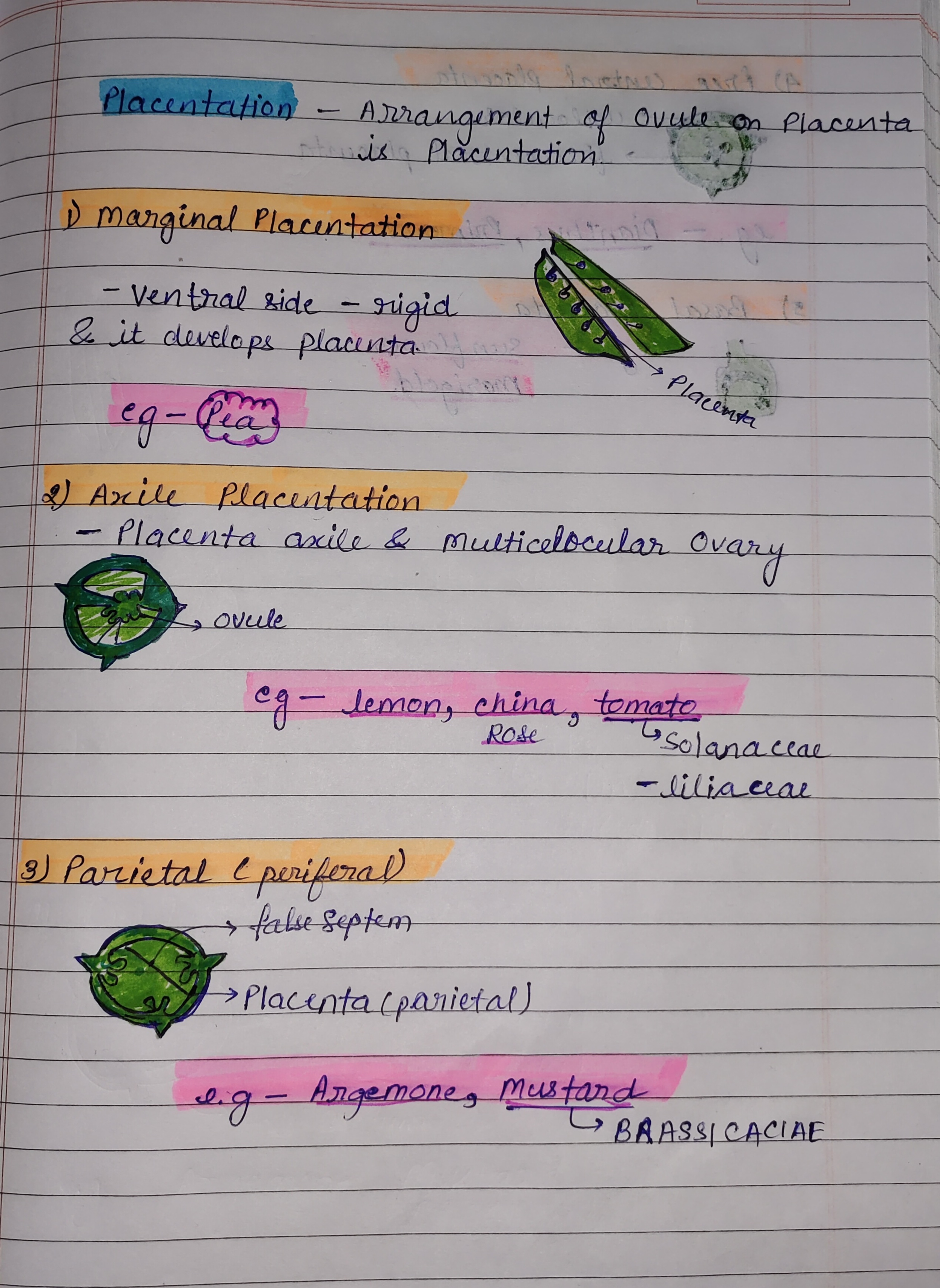 Placentation class 11th morphology of flowering plants