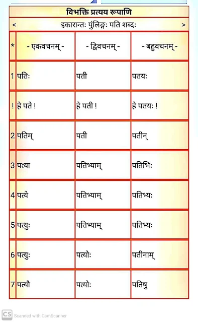 इकारान्त पुर्लिंग " पति " शब्द