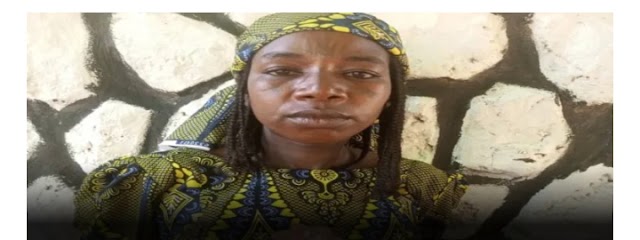 "Fatal Envy: Woman Arrested for Allegedly Ending Newborn Rival's Life in Bauchi"