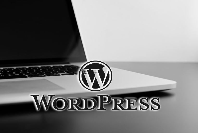 WordPress Developers, WordPress Developer