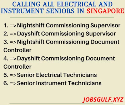 CALLING ALL ELECTRICAL AND INSTRUMENT SENIORS IN SINGAPORE