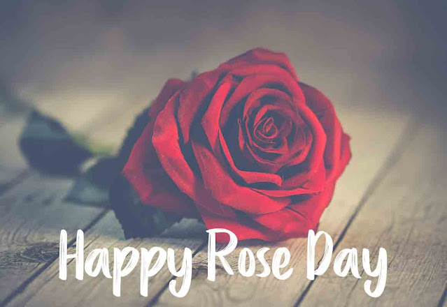 Happy rose day Red rose image