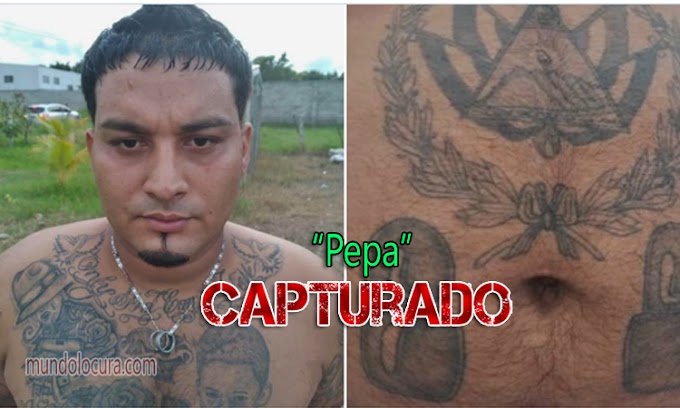 El Salvador: Capturan a terrorista alias "Pepa" que amenazaba a habitantes para que no reveleran su ubicación