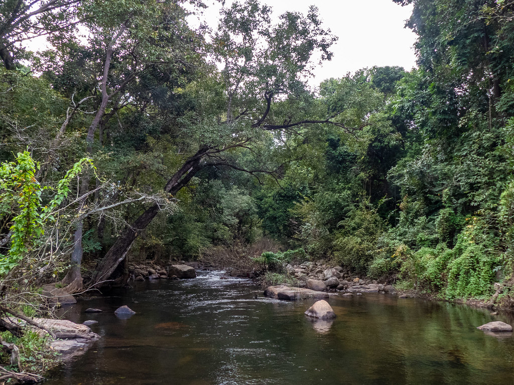 Chinnar wildlife Sanctuary