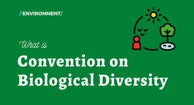 The Convention on Biological Diversity: Conserving Nature for a Sustainable Future.