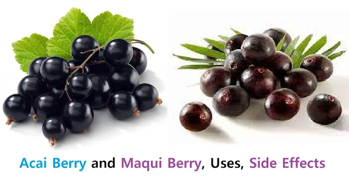 Acai Berry and Maqui Berry, Uses, Side Effects, and More