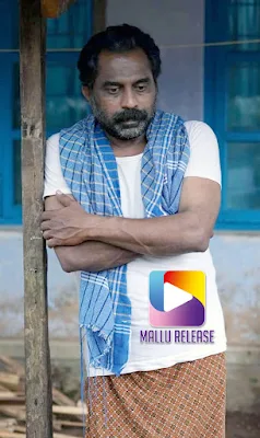 alli malayalam movie, mallurelease