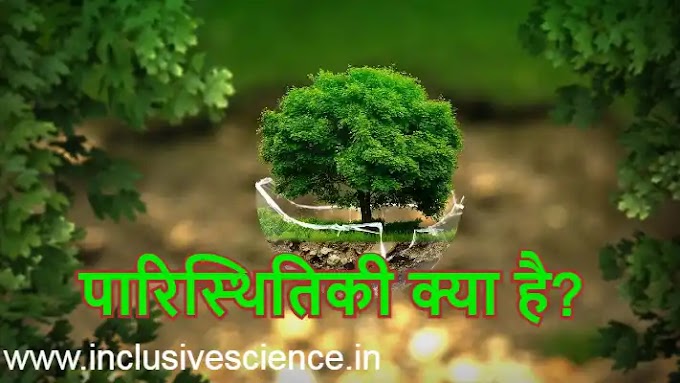 पारिस्थितिकी की परिभाषा (Ecology in Hindi), पारिस्थितिकी तंत्र के घटक, Best & easy भाषा में 2022